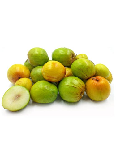 Jujube Tree Grafted